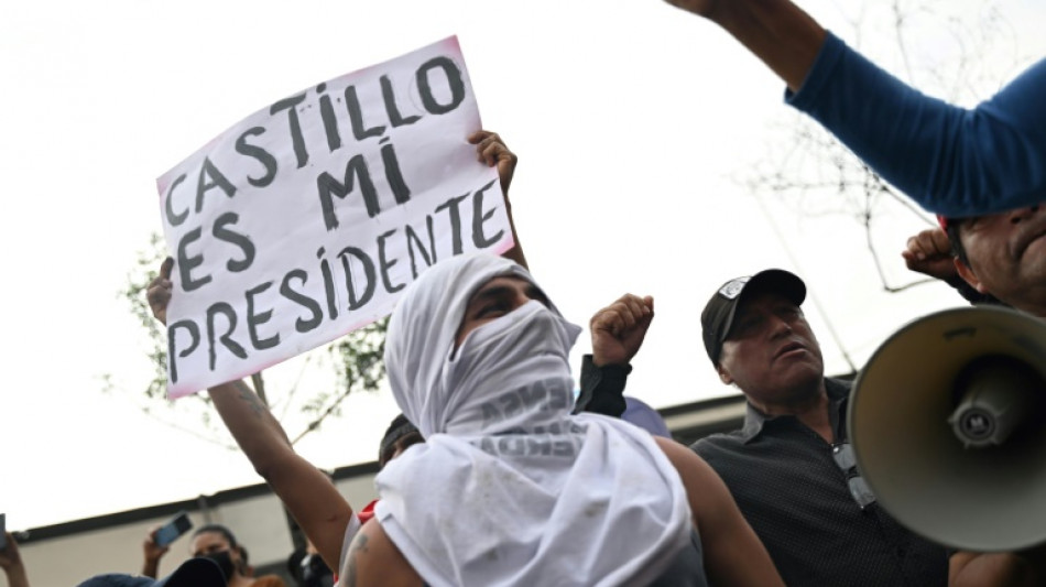 Ein Toter und f&uuml;nf Verletzte bei landesweiten Protesten gegen Perus neue Pr&auml;sidentin 