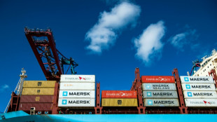 Maersk: Huthi-Angriffe im Roten Meer f&uuml;hren zu Gewinnr&uuml;ckgang - Preise ziehen an