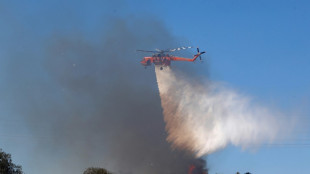 Zorn auf griechischer Insel nach durch Feuerwerk ausgel&ouml;stem Waldbrand
