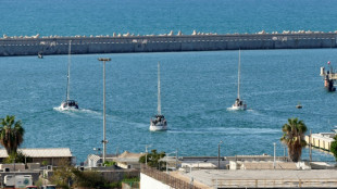 Expulsion d'Israël de premiers militants de la flottille pour Gaza