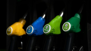 Carburants: l'ex&eacute;cutif presse les distributeurs de r&eacute;duire leurs marges