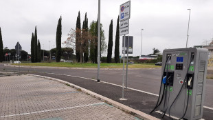 Arriva dl riforma rete carburanti, pi&ugrave; bio e green
