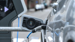Voitures &eacute;lectriques: McDonald's ajoute la recharge rapide au menu