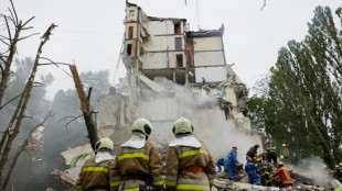 Zelensky urges allies to seek 'regime change' in Russia