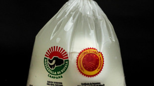 Protesta autotrasportatori: Consozio mozzarella bufala dop, molti caseifici chiusi
