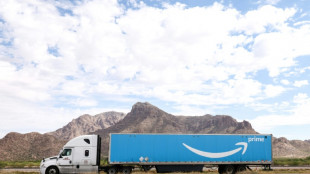 Un grupo sueco presenta una demanda contra Amazon por la venta de mu&ntilde;ecas sexuales con apariencia infantil