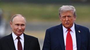 Putin a Trump, 'operazione di terra in Iran sarebbe inaccettabile e pericolosa'