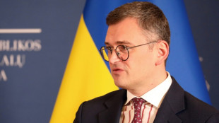 Ukraine weist Papst-Aussagen zu "wei&szlig;er Fahne" scharf zur&uuml;ck