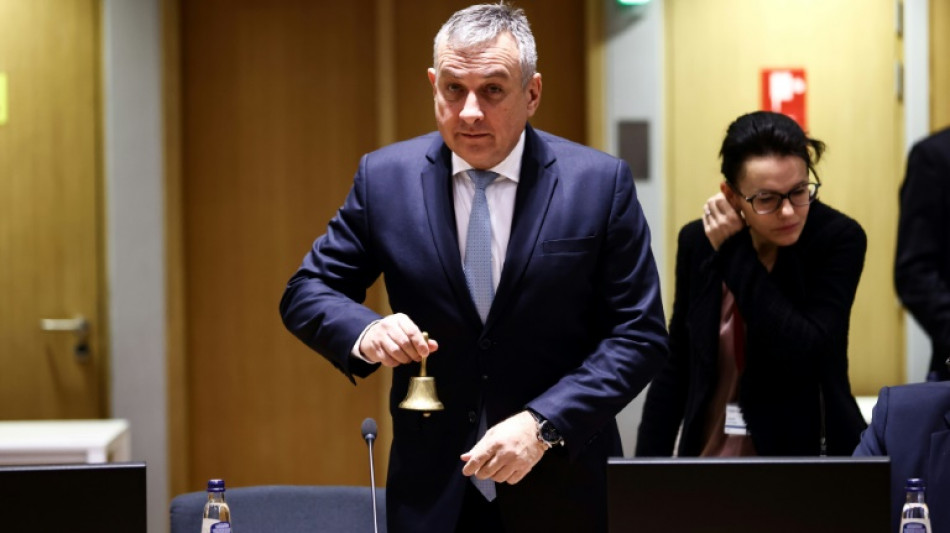 Tschechischer Handelsminister dr&auml;ngt auf Einigung &uuml;ber Gaspreisdeckel