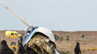 La investigaci&oacute;n apunta a que el avi&oacute;n de Azerbaijan Airlines se estrell&oacute; a debido a "interferencias" externas
