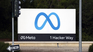 Meta non salda conti col Fisco su '877 milioni di evasione'