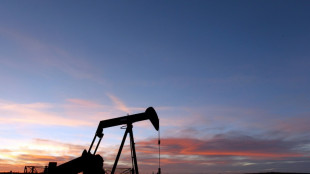 La consommation mondiale de pétrole devrait légèrement baisser en 2030, une première depuis le Covid