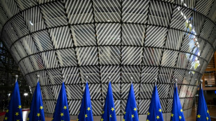 L'UE met un coup de frein à des textes ambitieux sur le climat