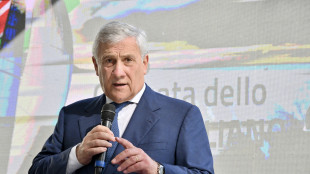 Farnesina, Mosca piombata in un abisso di volgarità