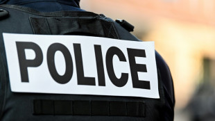 Bagarre dans les transports franciliens: quatre personnes bless&eacute;es &agrave; coups de hache, une interpellation