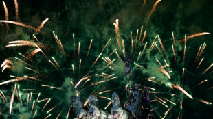 Erste Silvesterbilanz in Berlin: Deutlich weniger &Uuml;bergriffe auf Feuerwehrleute