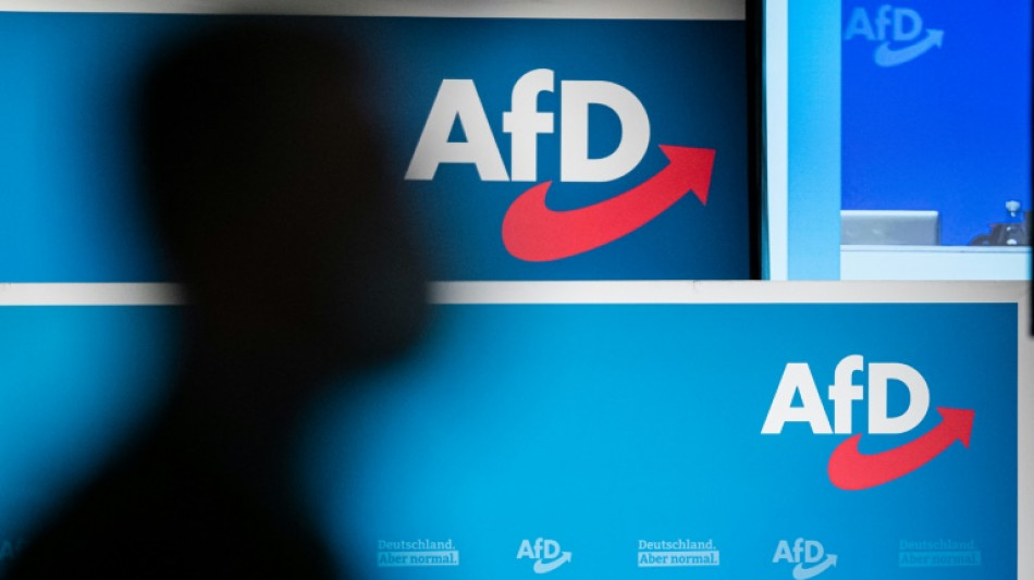AfD-Verbot: SPD-Fraktionsvorsitzende fordern Einleitung eines Pr&uuml;fverfahrens