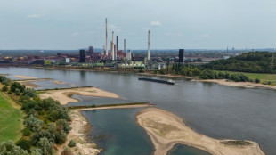Niedrigwasser im Rhein: Unternehmen weichen auf Schiene und Lkw aus