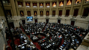 Reformpaket von argentinischem Pr&auml;sidenten nimmt erste parlamentarische H&uuml;rde