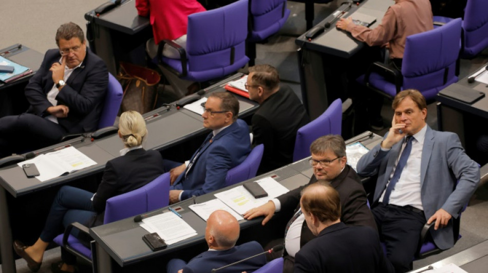FDP-Politiker Thomae verteidigt Umgang mit AfD in Bundestagsaussch&uuml;ssen