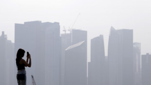 Emissioni di gas serra a Singapore in calo del 5,3% nel 2023