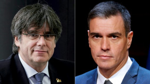 Espagne: S&aacute;nchez obtient l'appui controvers&eacute; de Puigdemont en vue de se maintenir au pouvoir