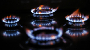 Gas: future sopra i 73 euro, ai massimi dal 2023 al megawattora