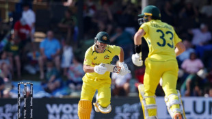 Warner, Labuschagne hit centuries as Australia go on batting rampage