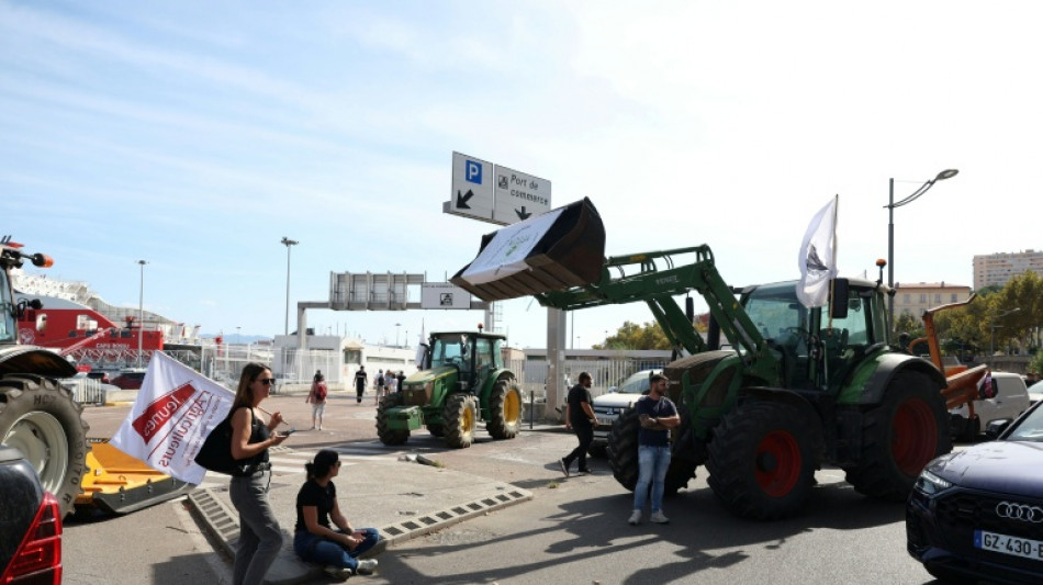 S&eacute;cheresse: des agriculteurs en col&egrave;re ont bloqu&eacute; les ports de Bastia et Ajaccio