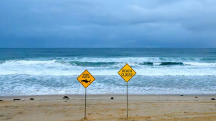 Shark bites surfer in Australian state's fourth attack in 48 hours