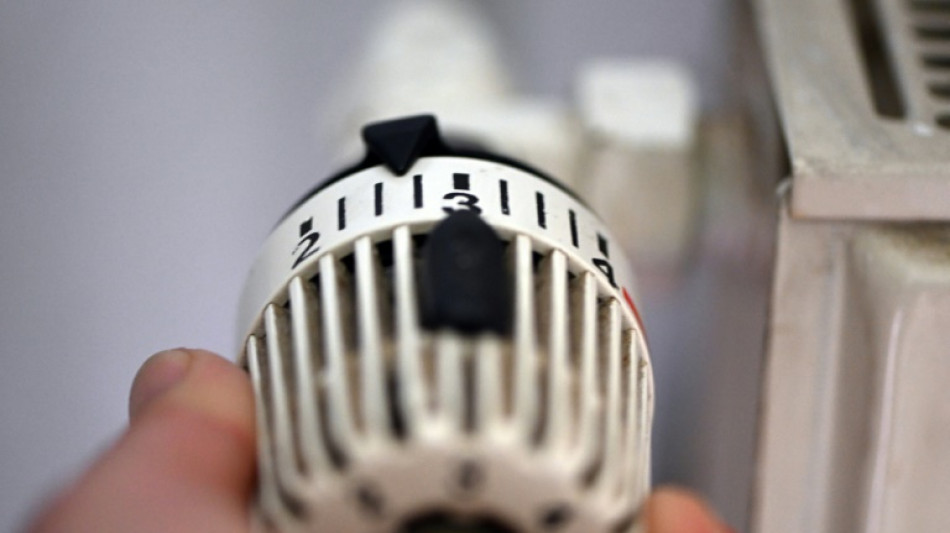 Göring-Eckardt beklagt mangelnde Unterstützung durch Scholz im Heizungsstreit