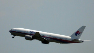UN-Luftfahrtbehörde: Russland verantwortlich für MH17-Abschuss 2014 über Ukraine