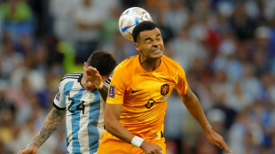 Liverpool agree deal for Dutch star Gakpo