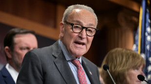 Führender US-Demokrat Schumer sieht die USA auf "Weg zur Diktatur"