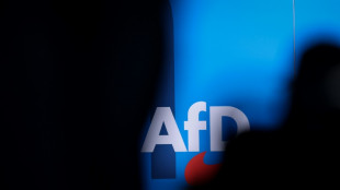 AfD kann Parteitag auf Messegel&auml;nde in Essen abhalten