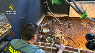 Spain rescues hundreds of exotic animals from unlicensed shelter