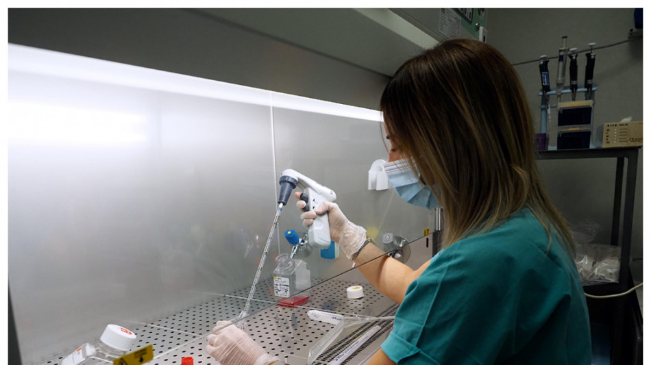 Oltre 1.700 nuove proteine nascoste nel Dna finora trascurato