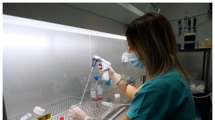 Organoidi di cervello coltivati in laboratorio per 5 anni, &egrave; record