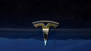 Tesla gewinnt Gerichtsverfahren um t&ouml;dlichen Unfall mit Fahrassistent