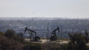Aumenta il prezzo del petrolio, Wti a 86 dollari al barile (0,20%)
