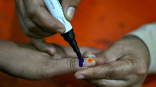 L&eacute;gislatives au Bangladesh: les favoris battent le rappel de leurs partisans