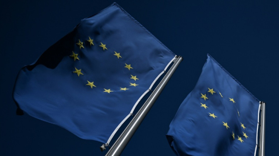 Irish slump drags eurozone economy into red in first quarter