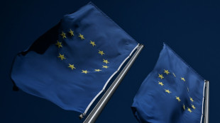 Irish slump drags eurozone economy into red in first quarter