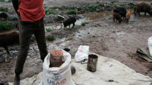 Recortes en la ayuda de EEUU y Europa podrían causar 22,6 millones de muertes, según un estudio