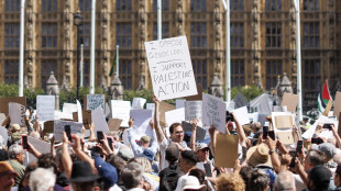 Protesta pro Palestine Action in Gb, salgono a 466 gli arresti