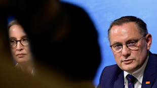 Vor Parteitag in Essen: AfD-Co-Chef Chrupalla f&uuml;r Einf&uuml;hrung eines Generalsekret&auml;rs