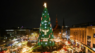 Aus tausend Rotfichten zusammengesteckt: Dortmund mit gr&ouml;&szlig;tem Weihnachtsbaum