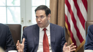 Rubio, 'la decisione su Afd &egrave; tirannia mascherata'