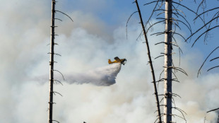 Waldbrand am Brocken gel&ouml;scht - Einsatzkr&auml;fte beginnen mit Ursachenermittlung