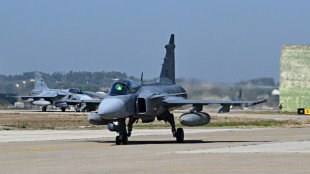 Armement: la République tchèque prolonge le bail d'avions de chasse suédois